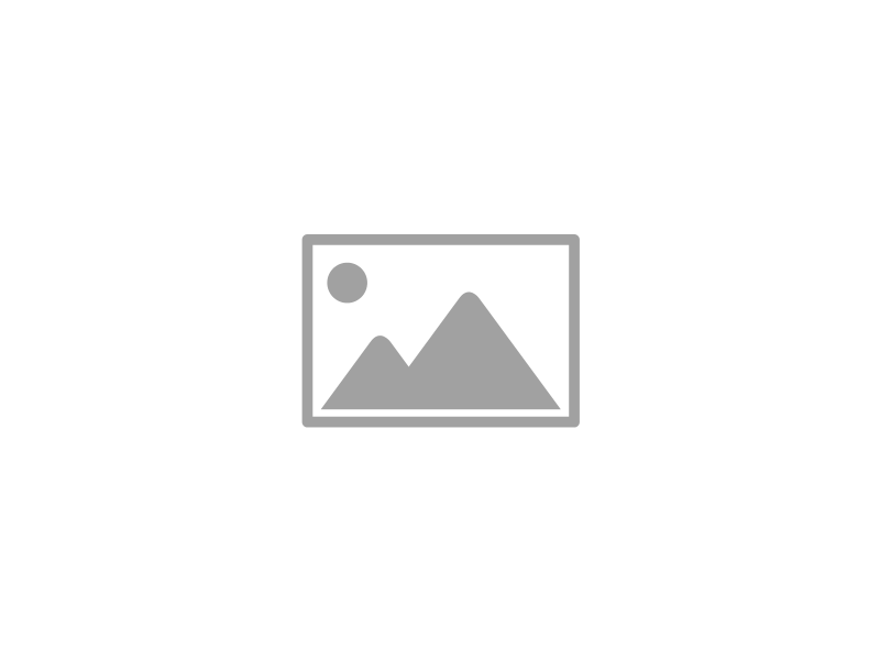 Essence Mobile Mechanic